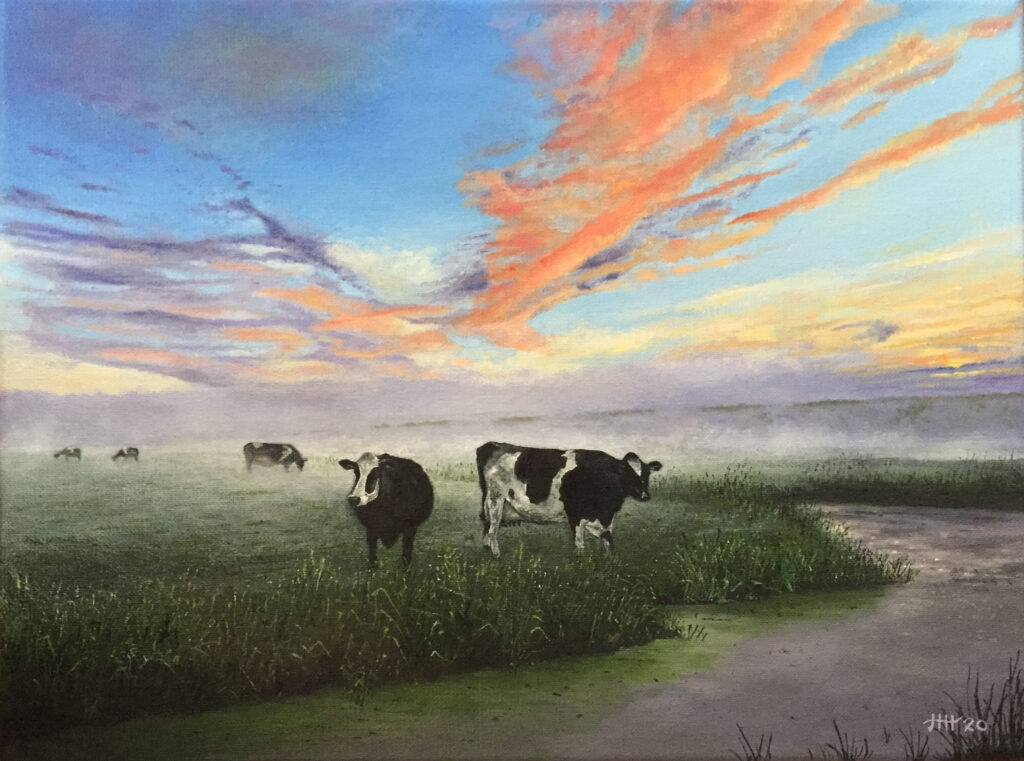 Schilderij koeien koe ochtend zonsopgang zonsopkomst mist dauw Harry Huizing
