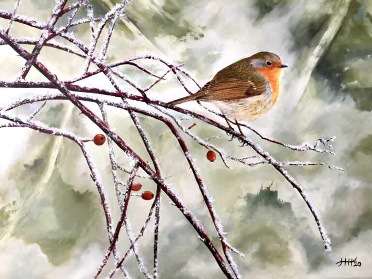 Schilderij roodborstje winter