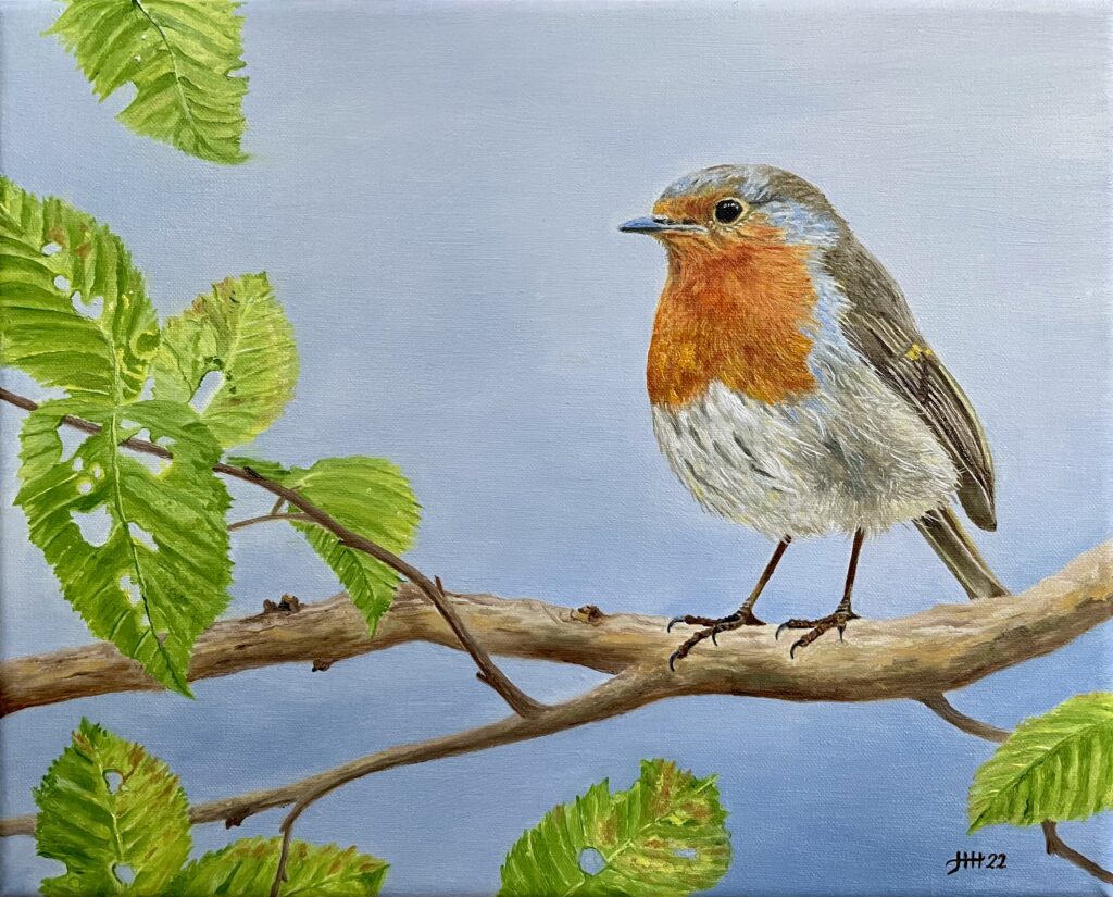 Schilderij roodborstje lente spring robin - Harry Huizing