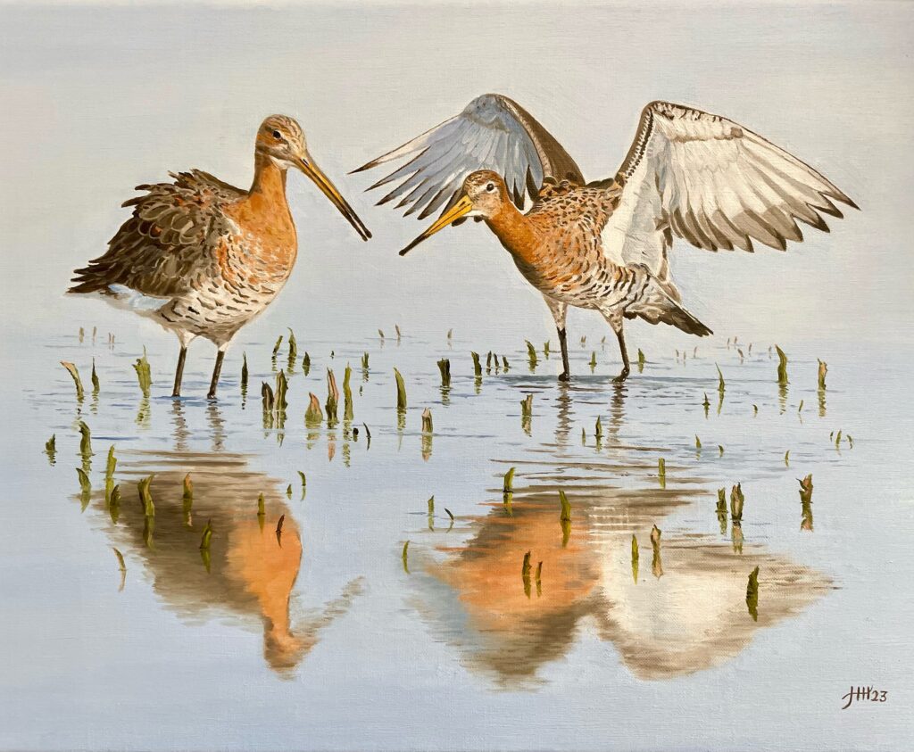 Twee grutto's wadvogels water schilderij Harry Huizing