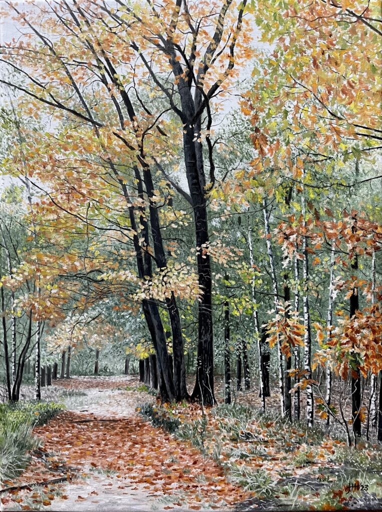 Kunstschilder Apeldoorn schilderijen landschappen wildlife herfst bos in herfst Harry Huizing