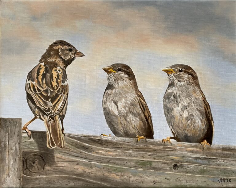 Schilderij huismus mus twee mussen drie mussen huismussen vogel olieverf hedendaags realisme