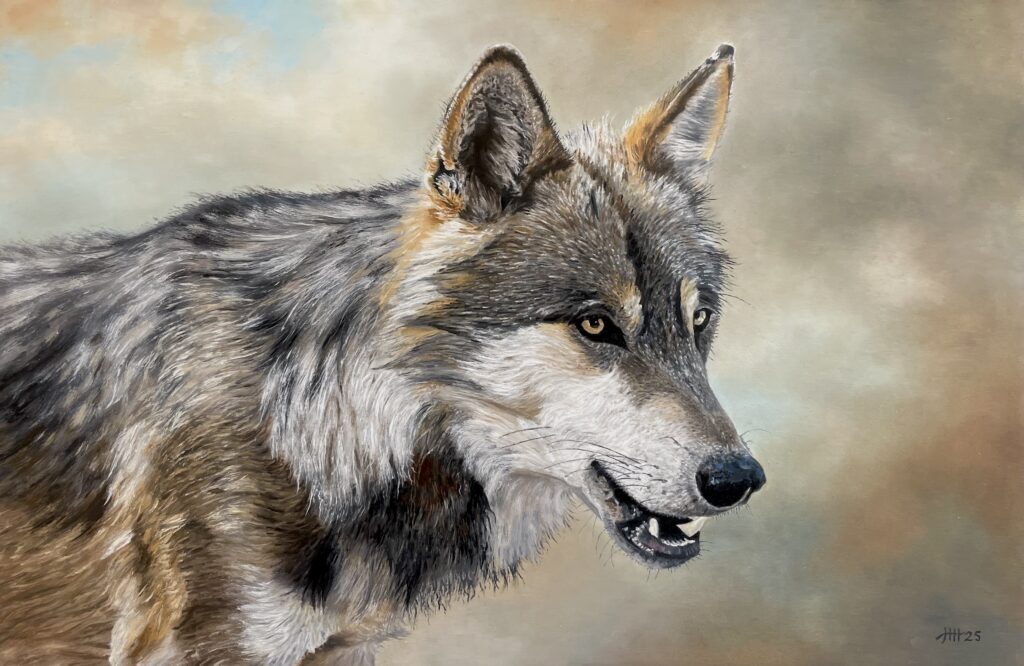 Schilderij wolf wildlife Veluwe hedendaags realisme realistische kunst