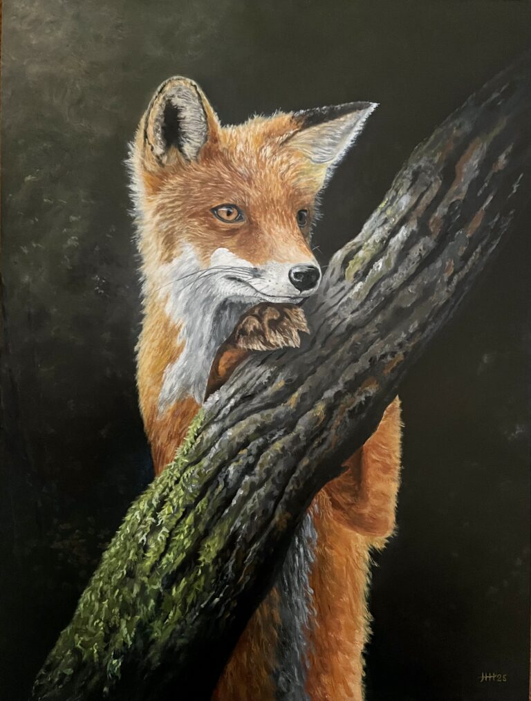 Schilderij vos wildlife veluwe oliverf