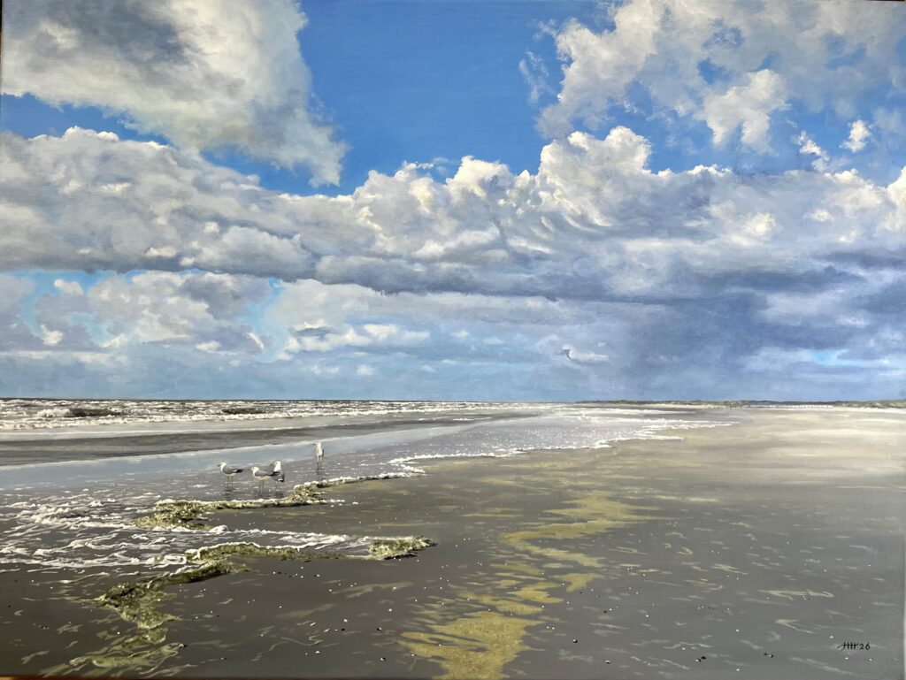 Schilderij zeegezicht Noordzee Hoek van Holland surfsmurrie zilvermeeuwen mooie lucht strand
