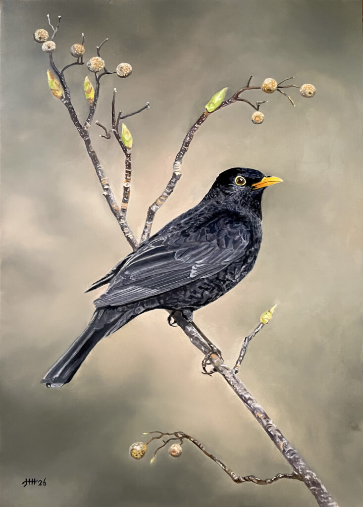 Schilderij merel vogel vogels olieverf blackbird painting Harry Huizing