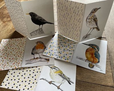Kaarten van vogels met envelop Prijs A6 formaat € 4,95 en A5 formaat 5,95. Mail mij op info@harrysart.co.nl als je kaarten wilt bestellen.