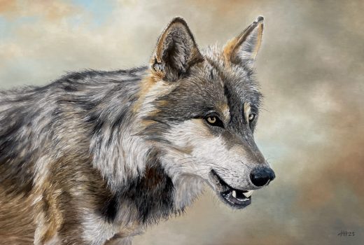 Schilderij wolf wildlife Veluwe hedendaags realisme realistische kunst
